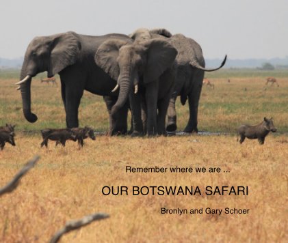 Remember where we are ... OUR BOTSWANA SAFARI book cover
