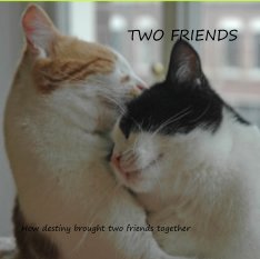 TWO FRIENDS book cover