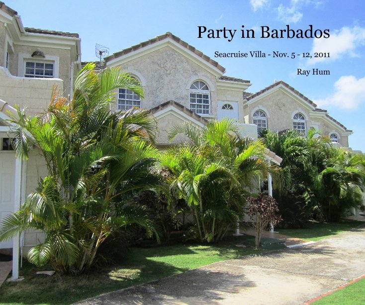 View Party in Barbados by Ray Hum