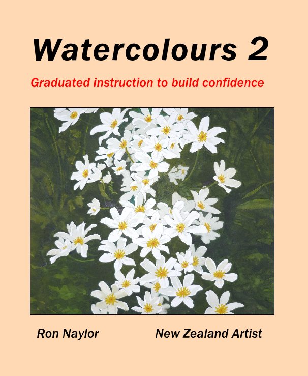 View Watercolours 2 by Ron Naylor New Zealand Artist
