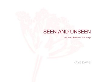 SEEN AND UNSEEN book cover