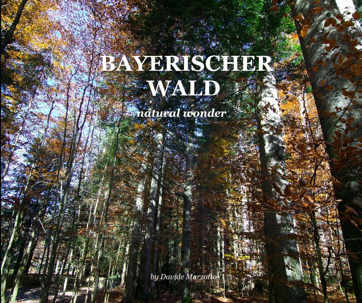 View BAYERISCHER WALD by Davide Marzotto