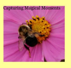 Capturing Magical Moments book cover