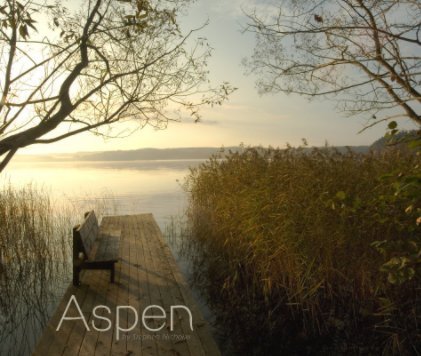 Aspen book cover