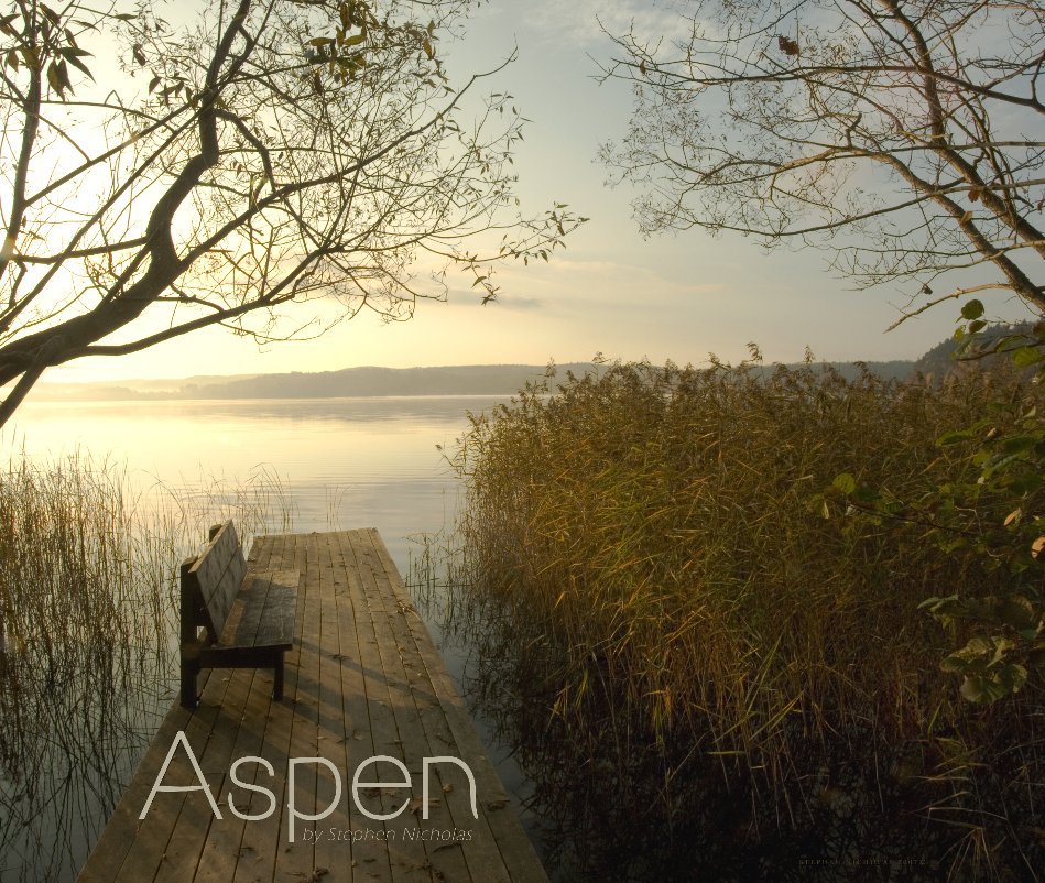 View Aspen by Stephen Nicholas