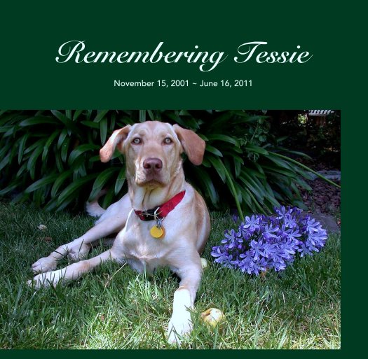 Visualizza Remembering Tessie di November 15, 2001 ~ June 16, 2011