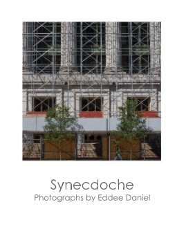 Synecdoche book cover