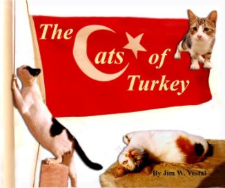 The Cats of Turkey book cover