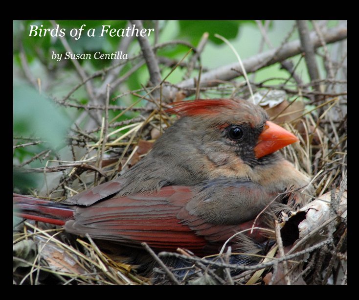 Ver Birds of a Feather por by Susan Centilla