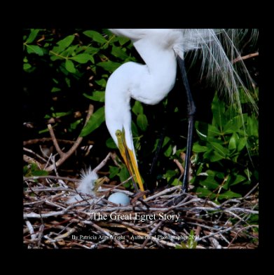 The Great Egret Story book cover