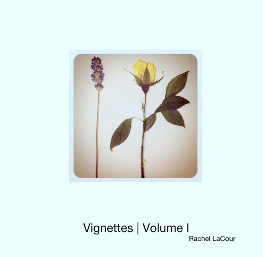 View Vignettes | Volume I by Rachel LaCour