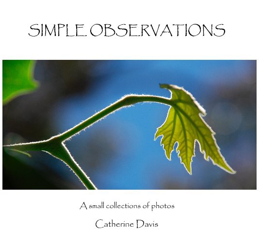 View SIMPLE OBSERVATIONS by Catherine Davis