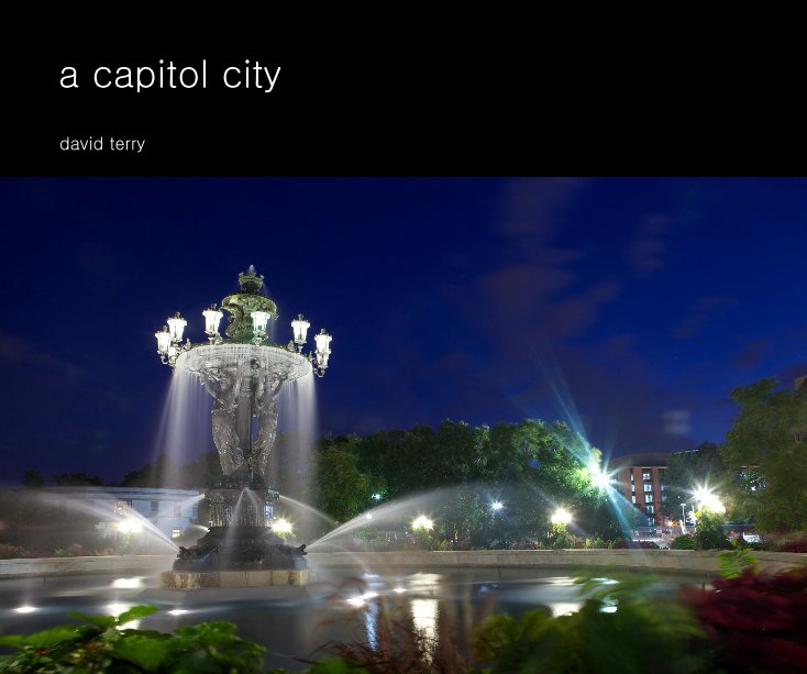 View a capitol city by david terry