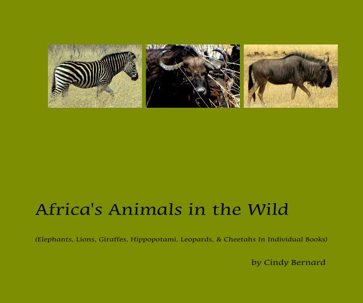 Bekijk Africa's Animals in the Wild op Cindy Bernard