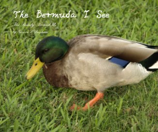 The Bermuda I See book cover