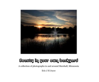 Beauty in your own backyard book cover