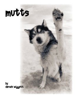 Mutts by Darwin Wiggett book cover