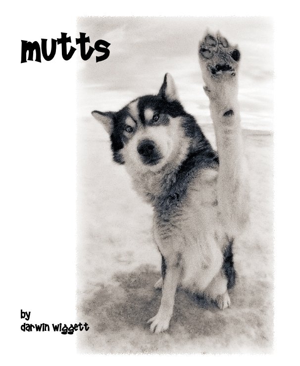 Bekijk Mutts by Darwin Wiggett op Darwin Wiggett