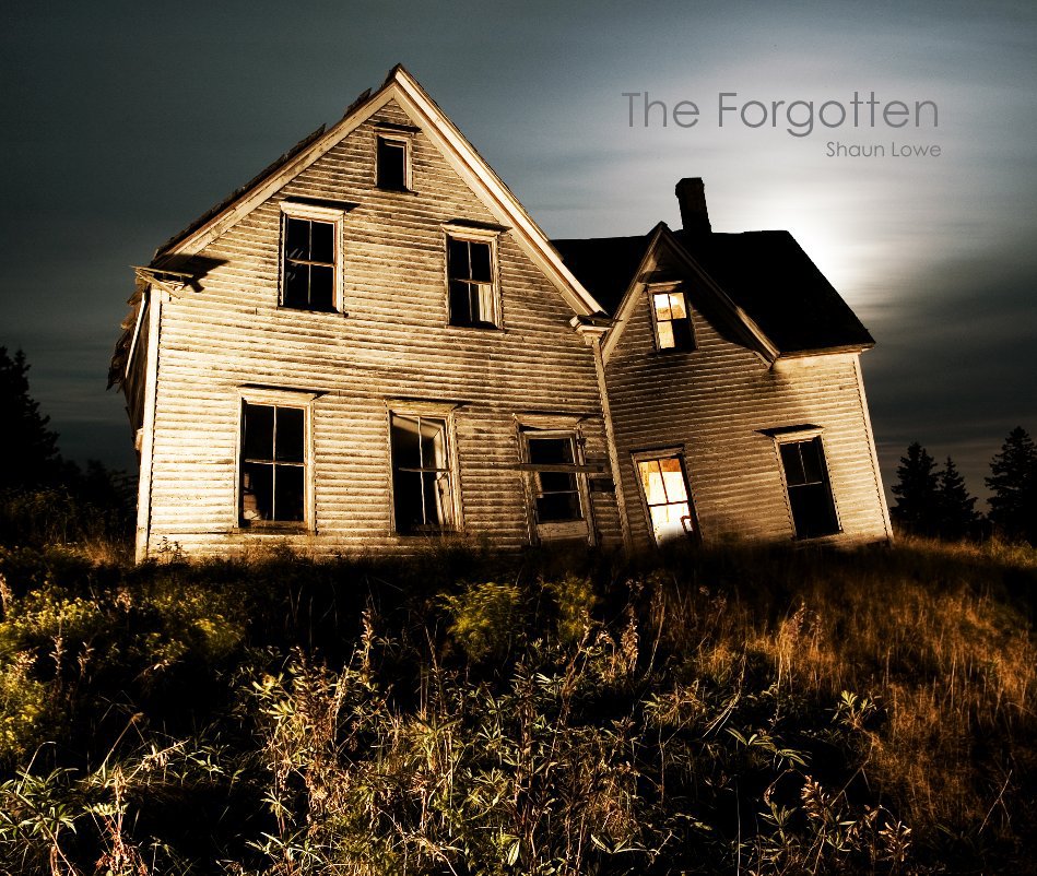 View The Forgotten by Shaun Lowe