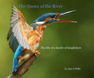 The Queen of the River book cover