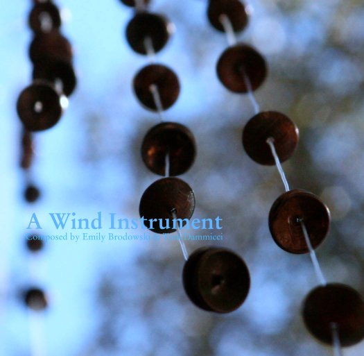 Bekijk A Wind Instrument
Composed by Emily Brodowski & Toni Dammicci op ebrodo