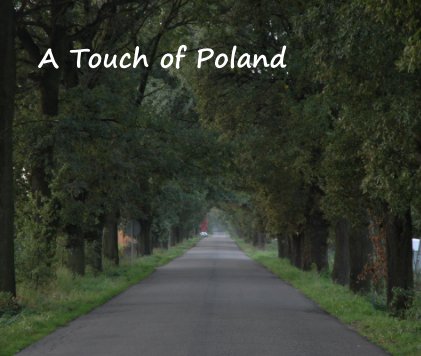 A Touch of Poland book cover