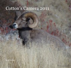 Cotton's Camera 2011 book cover