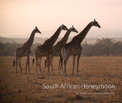 South African Honeymoon book cover