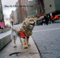 May My Effort Not Be in Vain book cover