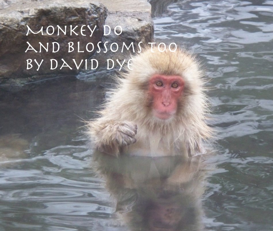 View Monkey Do and blossoms too by david dye by David Dye