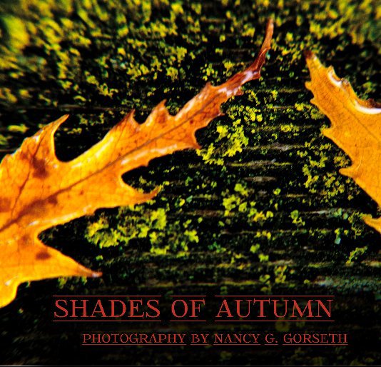 View Shades of Autumn by Nancy Gorseth