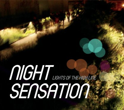 Night Sensation book cover