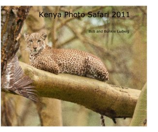 Kenya Photo Safari 2011 book cover