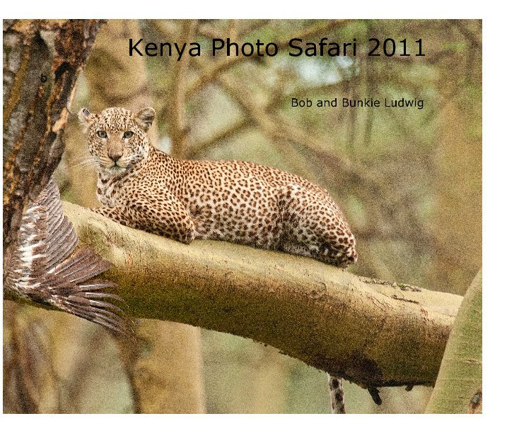 Ver Kenya Photo Safari 2011 por Bob and Bunkie Ludwig