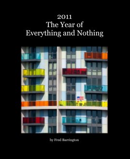 2011 The Year of Everything and Nothing book cover
