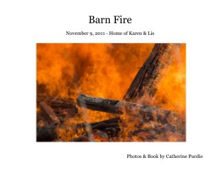 Barn Fire book cover