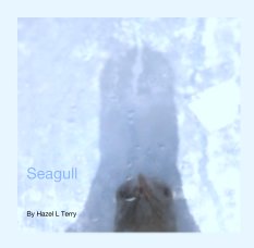 Seagull book cover