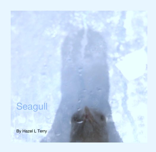View Seagull by Hazel L Terry