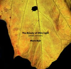 The Beauty of Ohio Light  
[small version]

Mark Bair book cover