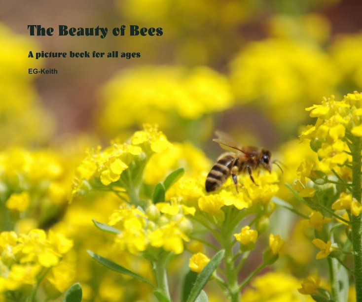 View The Beauty of Bees by EG-Keith