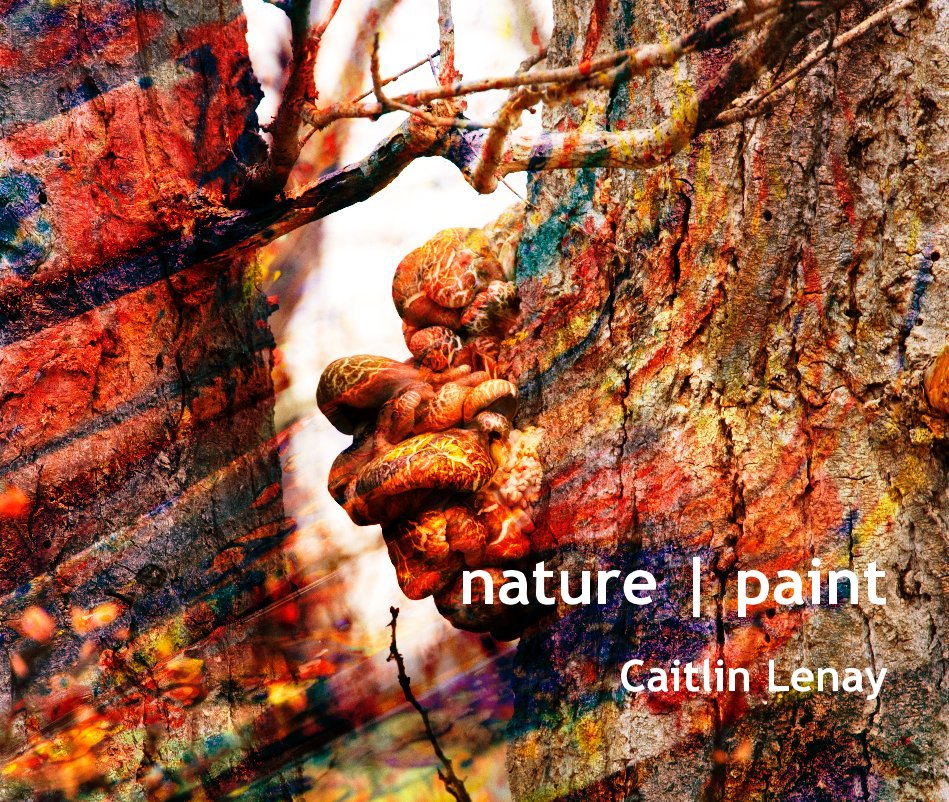 View nature | paint by Caitlin Lenay