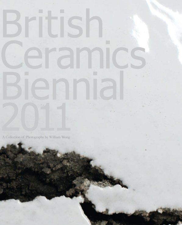 View British Ceramics Biennial 2011 by William Wong