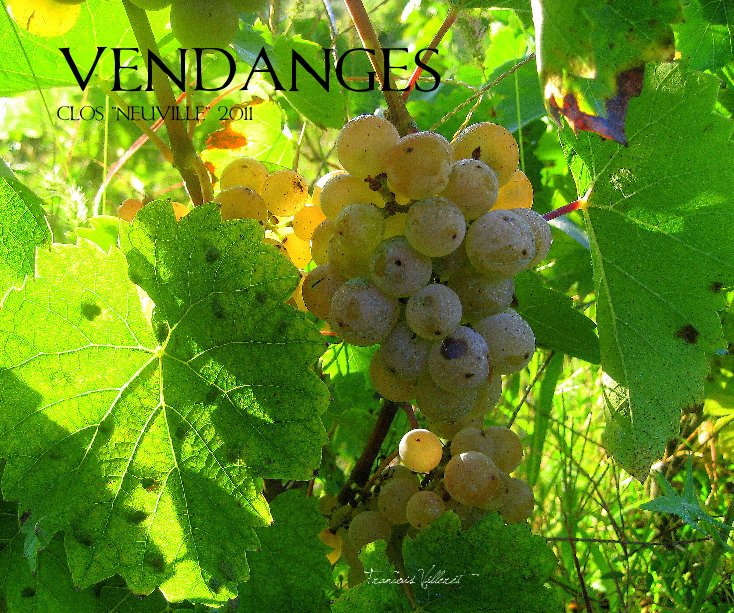 View Vendanges by Francois Villeret