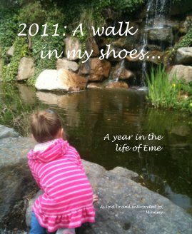 2011: A walk in my shoes... book cover