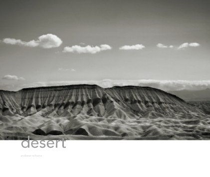 Desert book cover