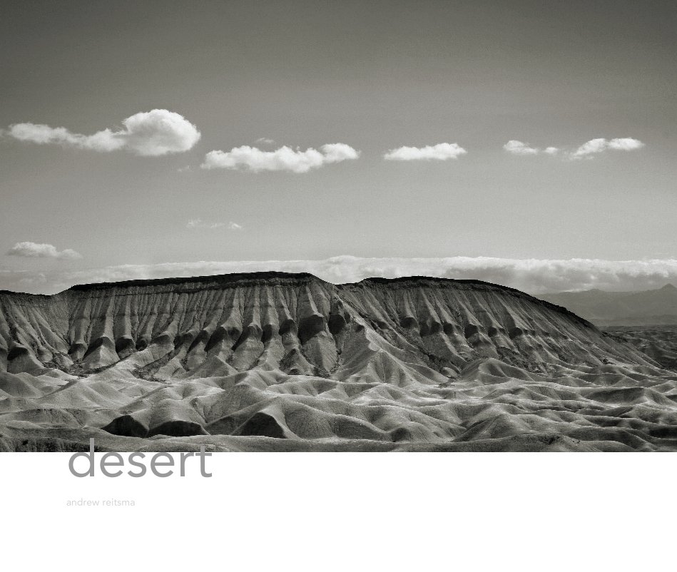 View Desert by Andrew Reitsma