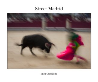 Street Madrid book cover