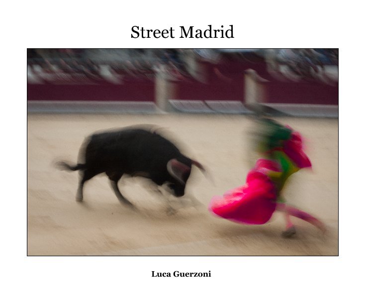 View Street Madrid by Luca Guerzoni