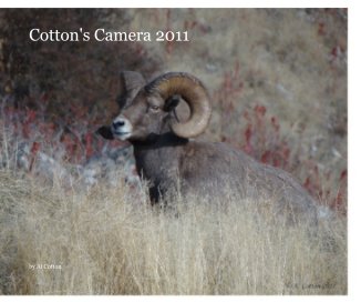Cotton's Camera 2011 book cover