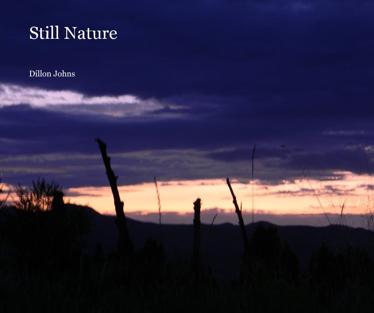 View Still Nature by Dillon Johns